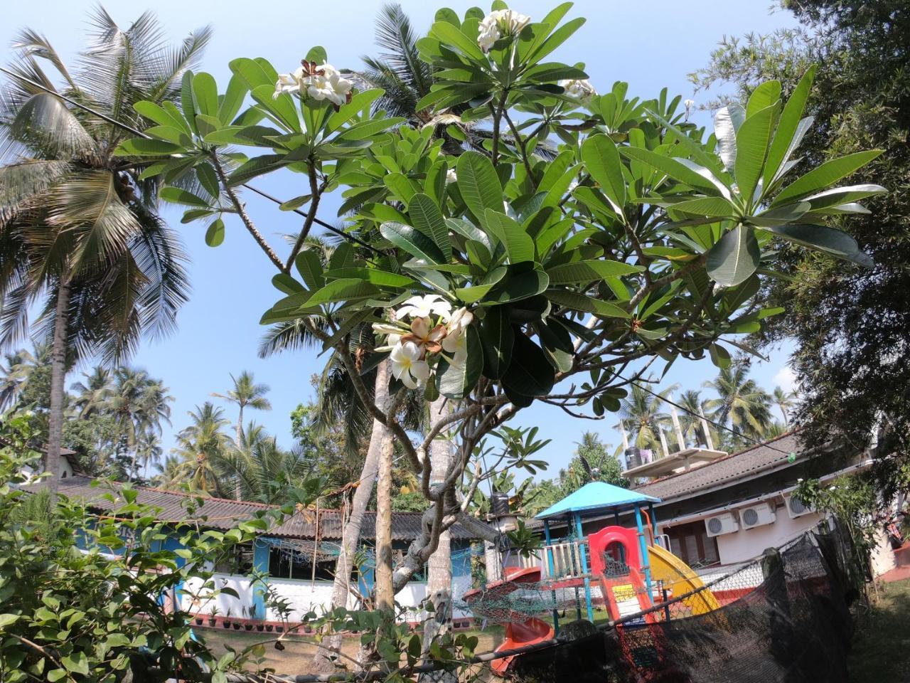 Shrinith'S Place - Dodanduwa ฮิกคาดูวา ภายนอก รูปภาพ
